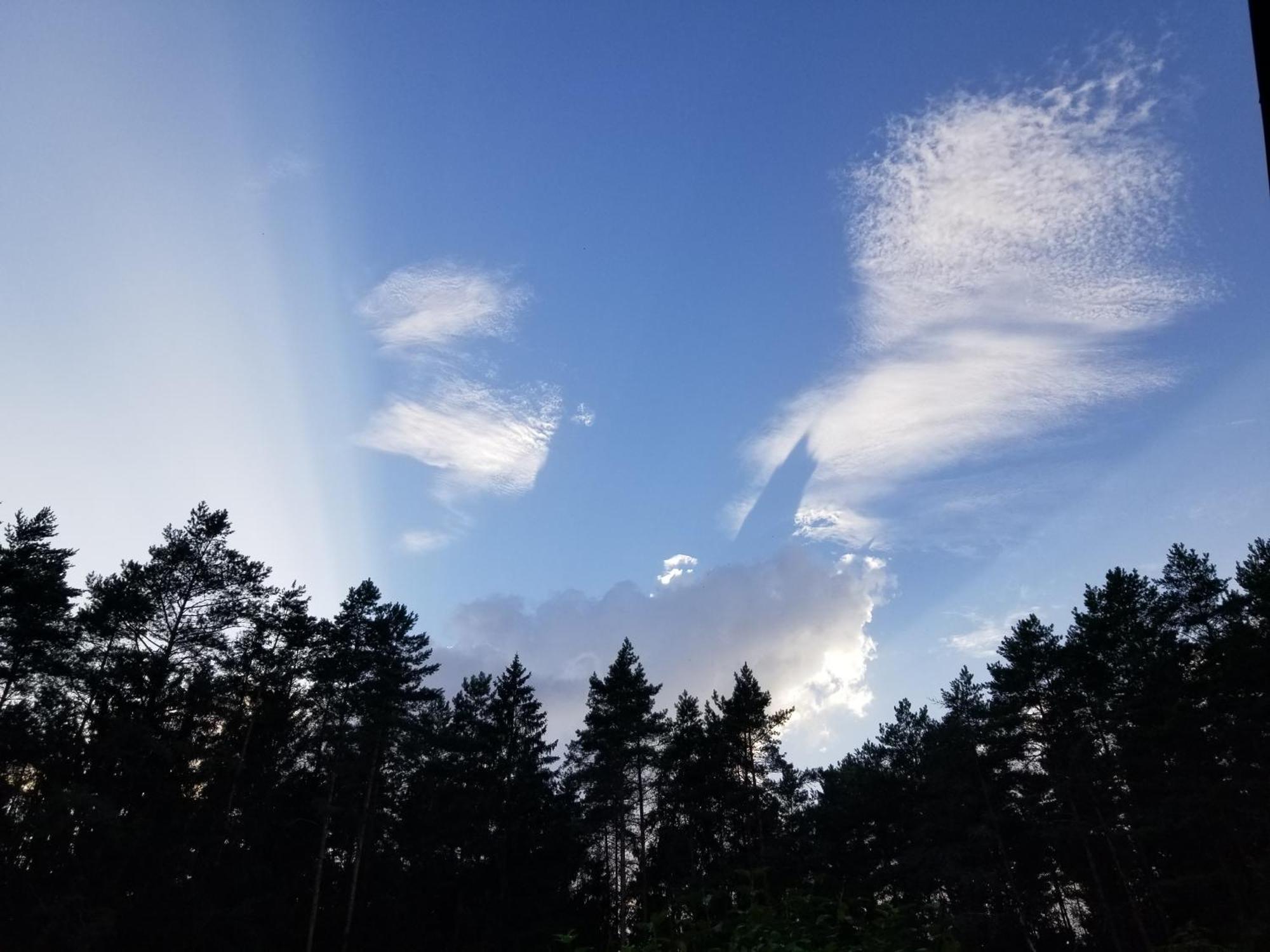 A&S Vidugiris Villa Jurbarkas Exteriör bild